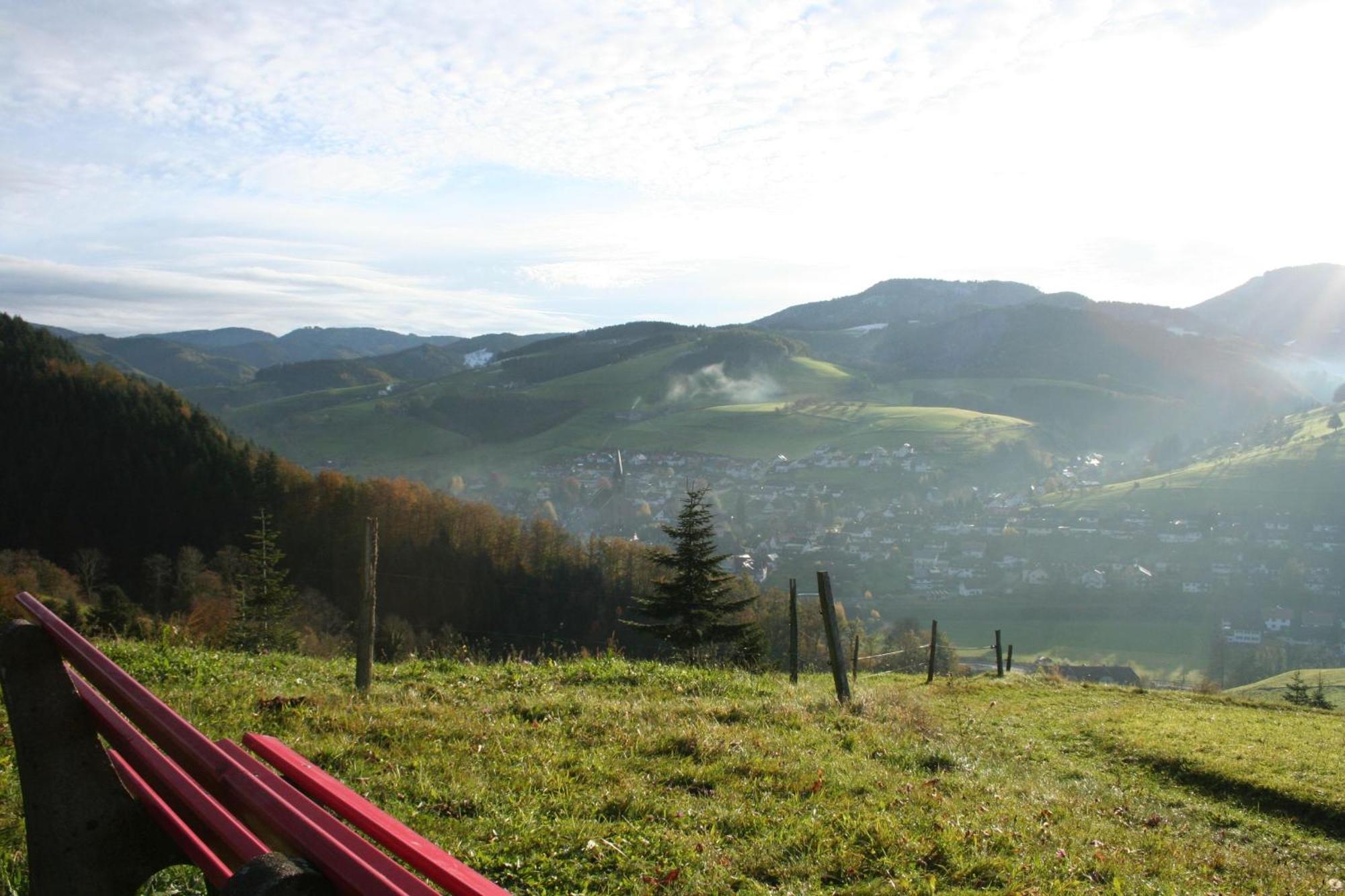 Ferienwohnungen Golla-Lang Oberharmersbach Exterior photo