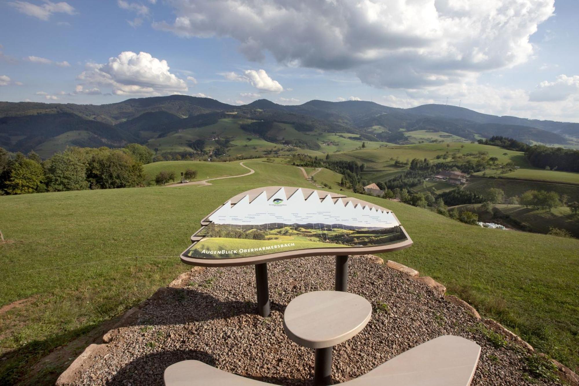 Ferienwohnungen Golla-Lang Oberharmersbach Exterior photo