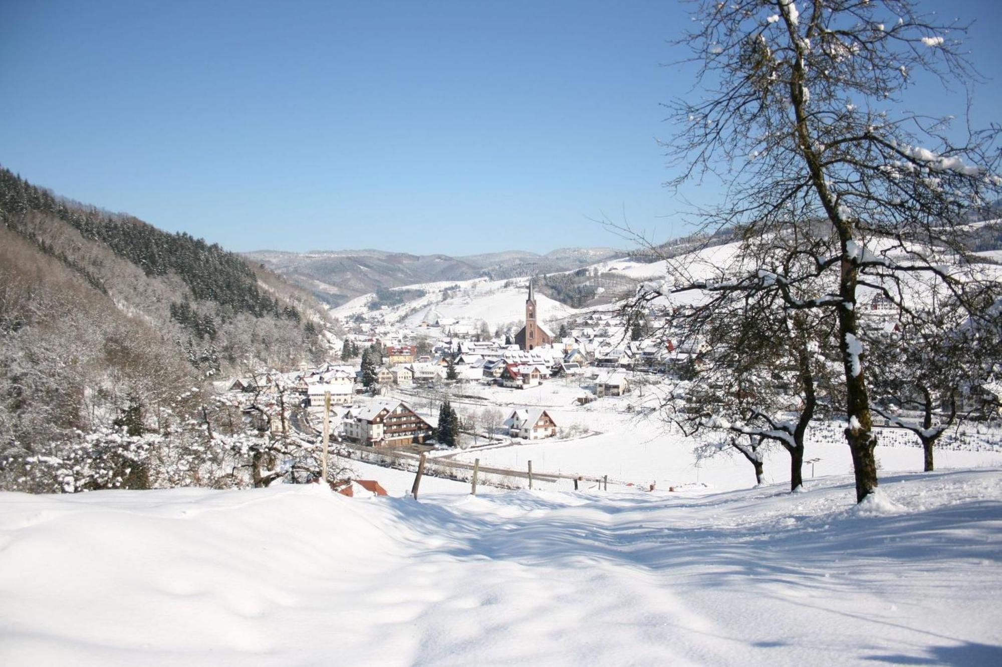 Ferienwohnungen Golla-Lang Oberharmersbach Exterior photo