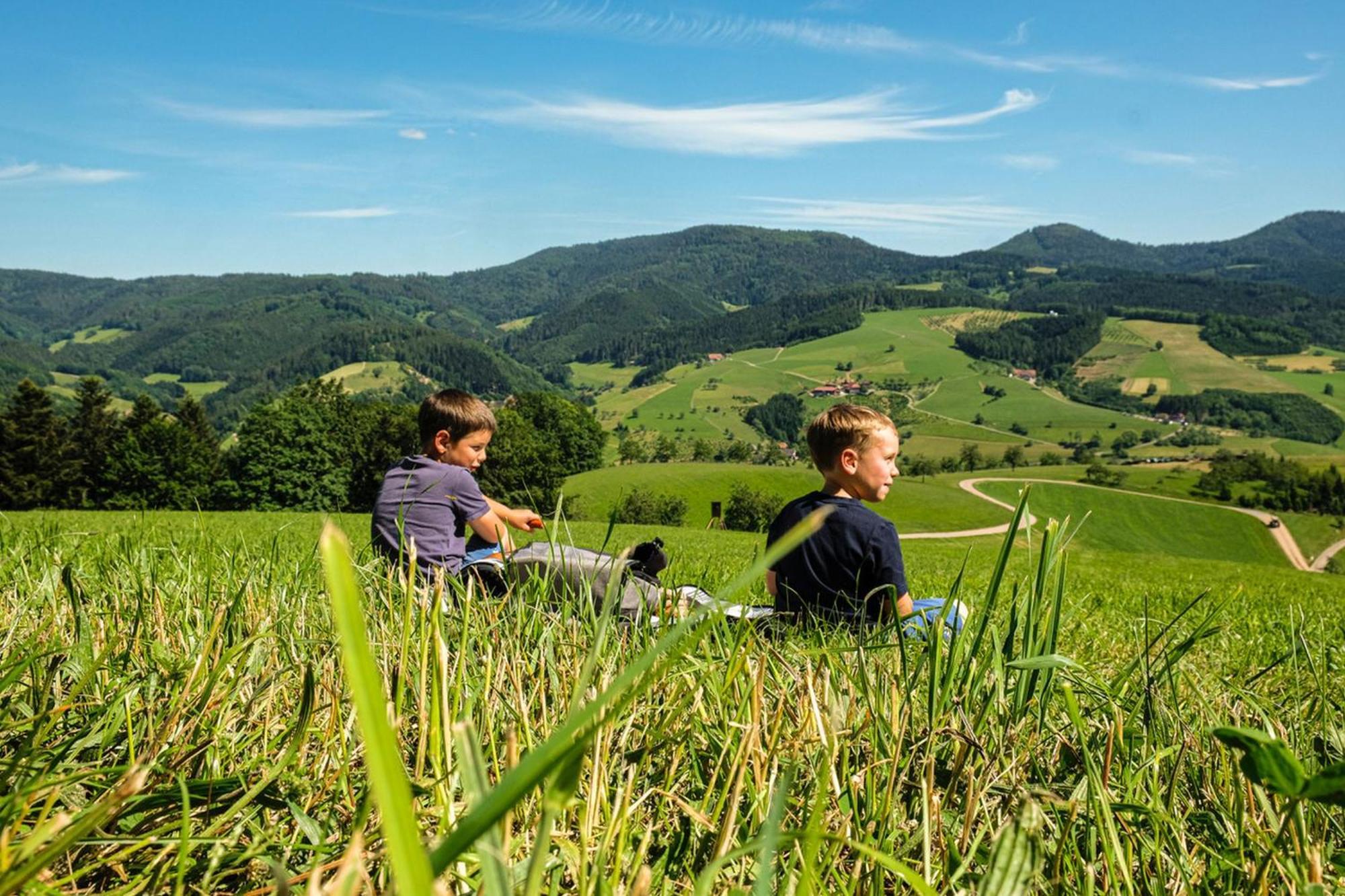 Ferienwohnungen Golla-Lang Oberharmersbach Exterior photo