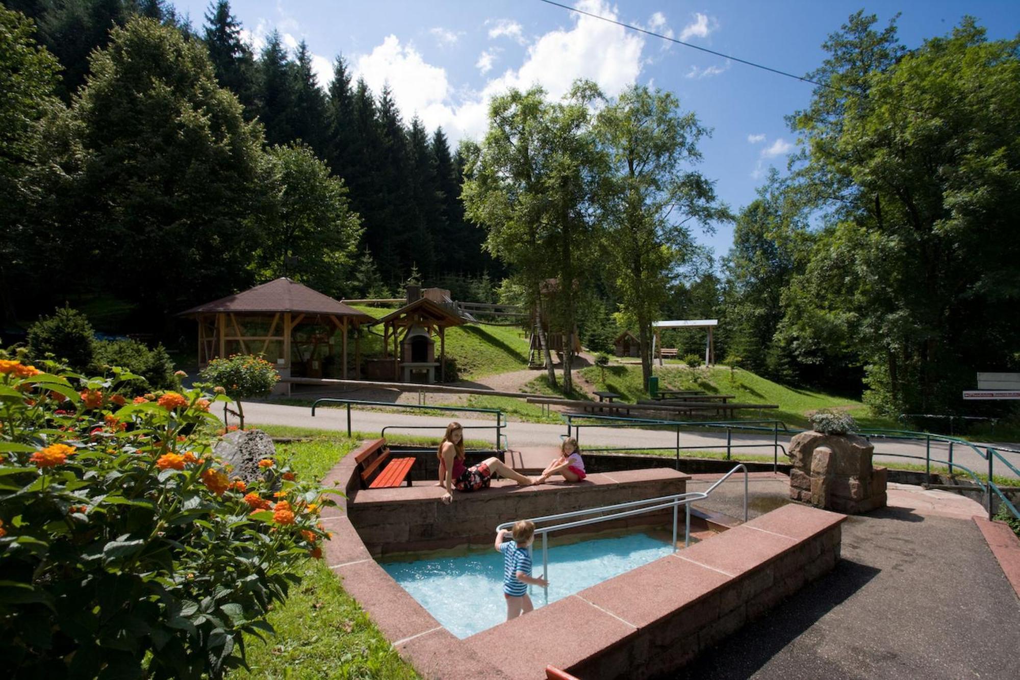 Ferienwohnungen Golla-Lang Oberharmersbach Exterior photo